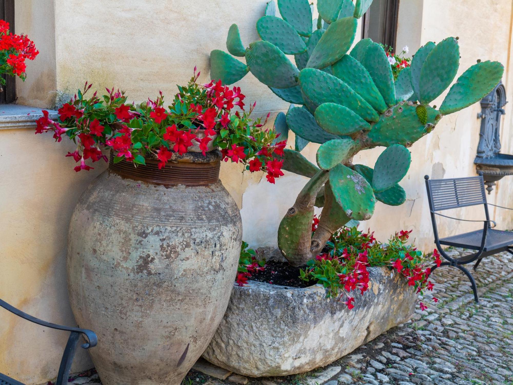 Agriturismo Baglio Fontana Buseto Palizzolo Exterior foto